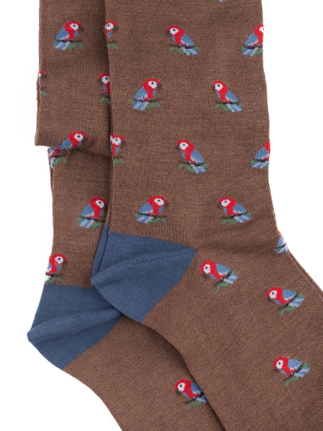 Calza uomo disegno pappagallo 2